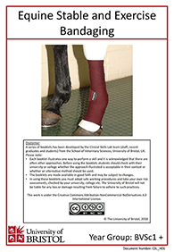 Clinical skills instruction booklet cover page, Equine Stable and Exercise Bandaging